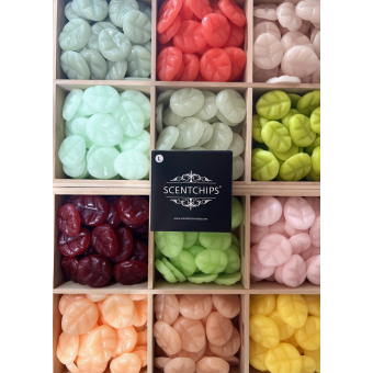 Box Scent Wax Melts Large