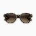 Sun Reader Glasses Kate Light Brown